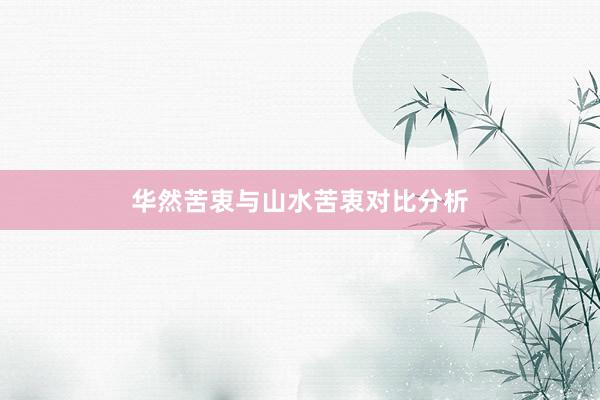 华然苦衷与山水苦衷对比分析