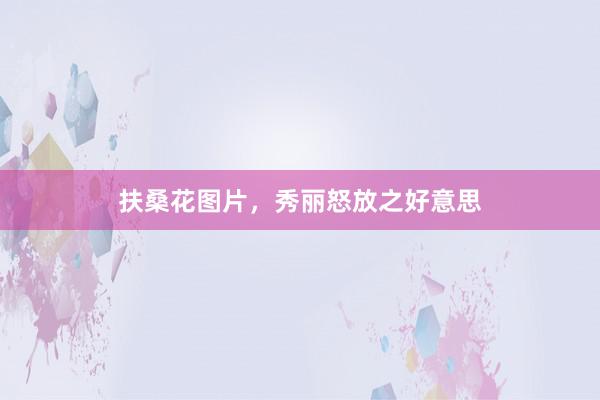扶桑花图片，秀丽怒放之好意思