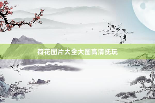 荷花图片大全大图高清抚玩